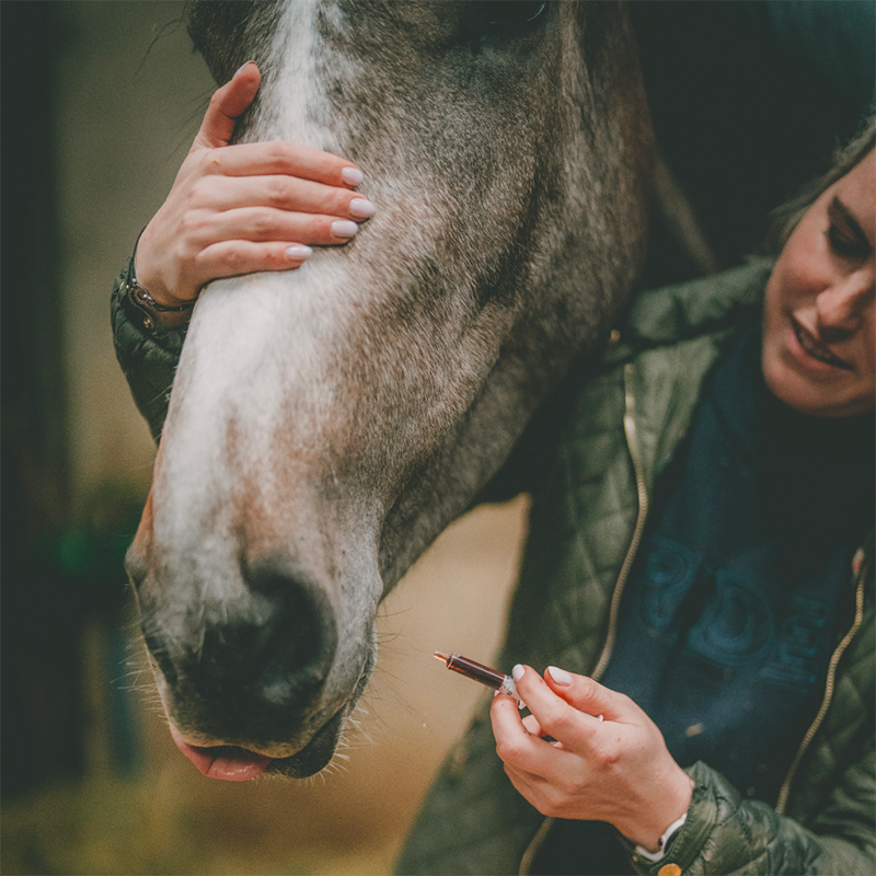 Cura Naturale - Complément alimentaire pour chevaux et chiens douleur ovarienne