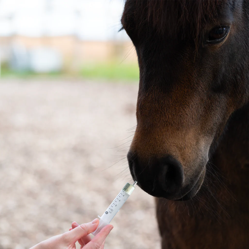 Cura Naturale - Complément alimentaire pour chevaux parasites intestinaux