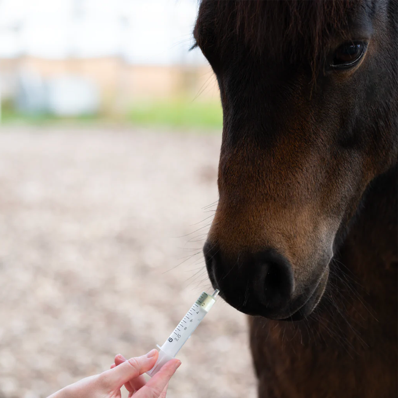 Cura Naturale - Complément alimentaire pour chevaux et chiens parasites intestinaux