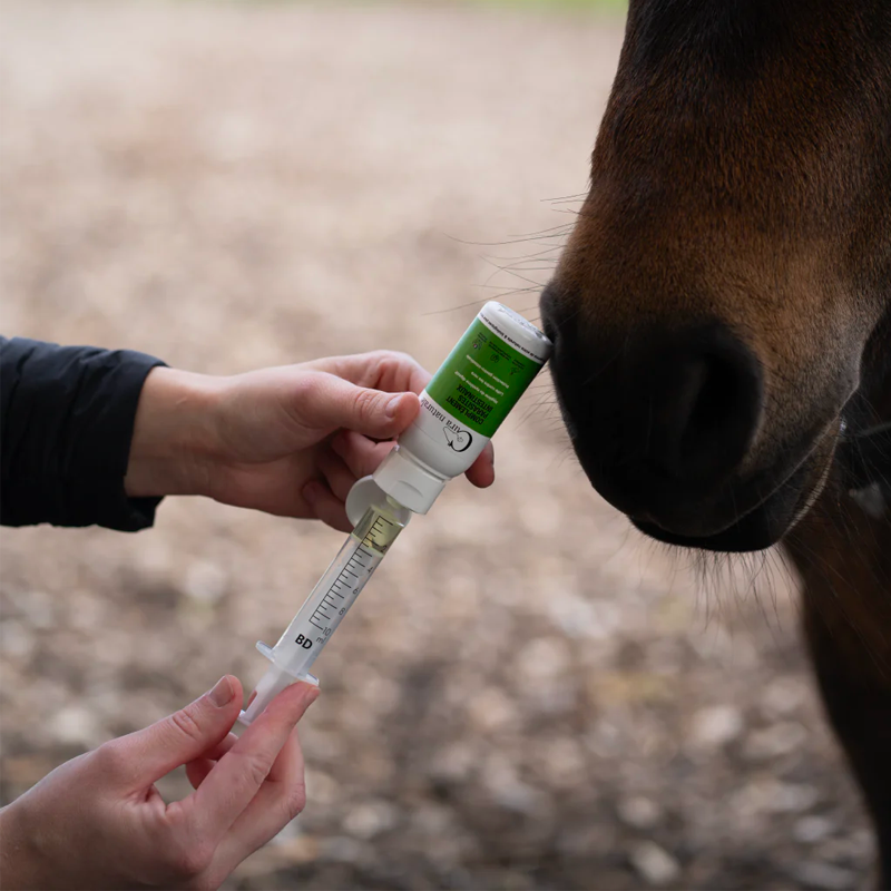 Cura Naturale - Complément alimentaire pour chevaux et chiens parasites intestinaux