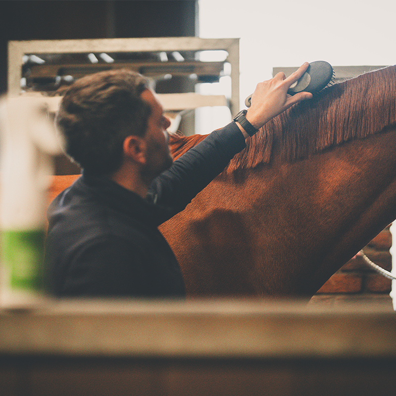 Cura Naturale - Démêlant et lustrant pour chevaux noix de coco