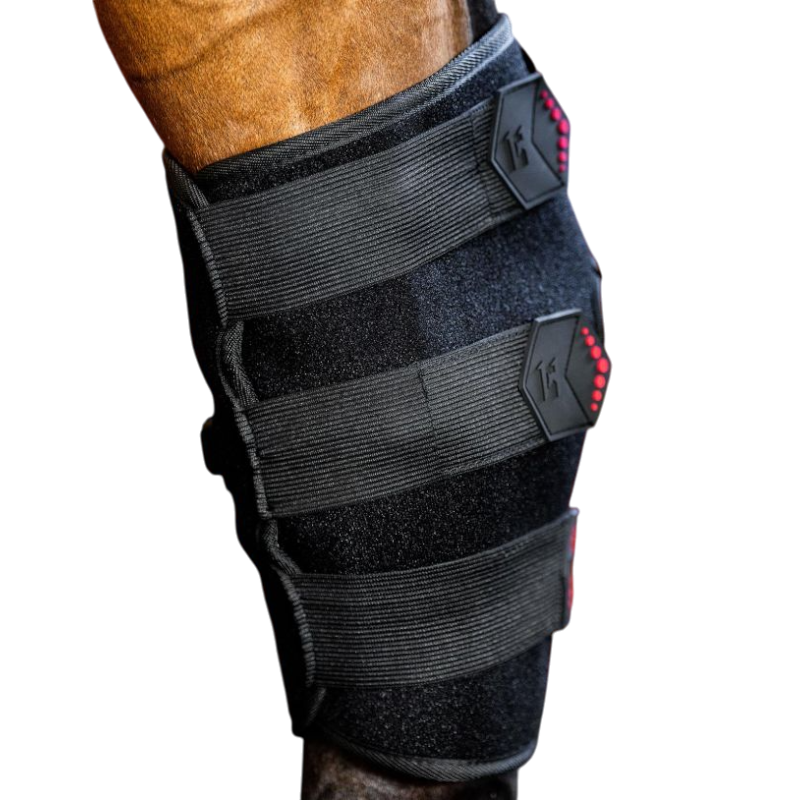 Horseware - Protège-jarret thérapeutique lumière rouge LED (x1)