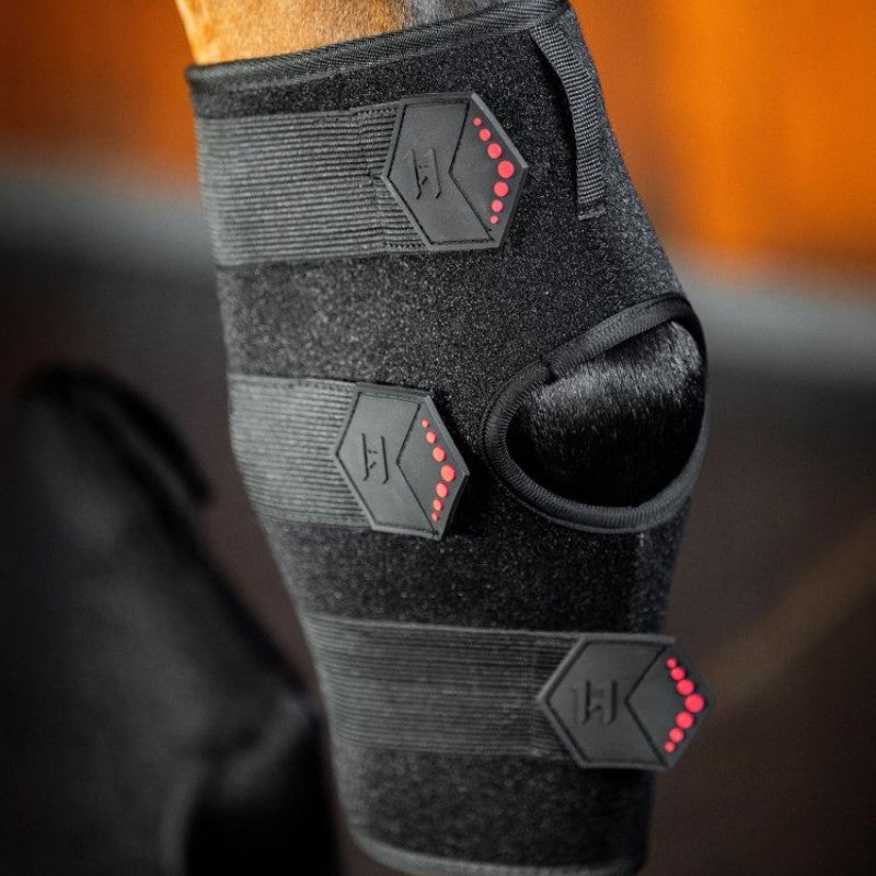 Horseware - Protège-jarret thérapeutique lumière rouge LED (x1)