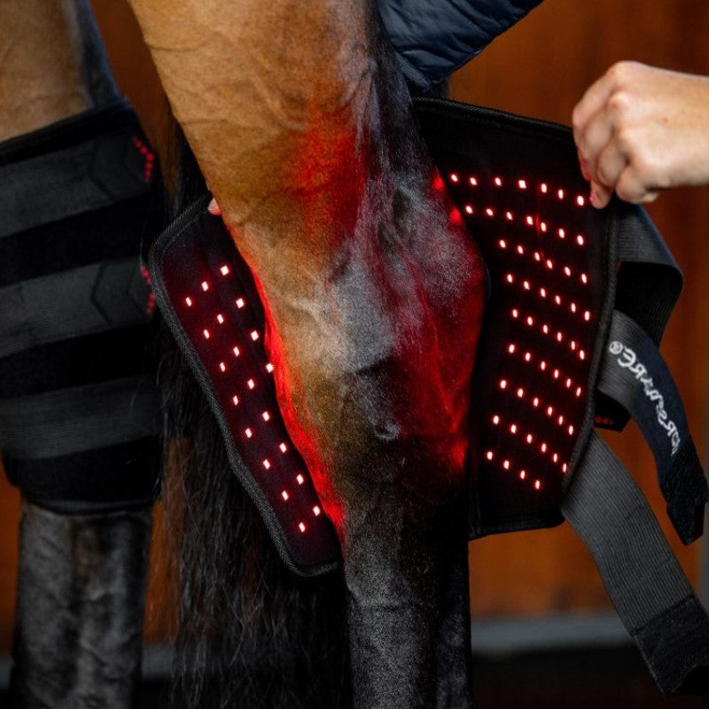 Horseware - Protège-jarret thérapeutique lumière rouge LED (x1)