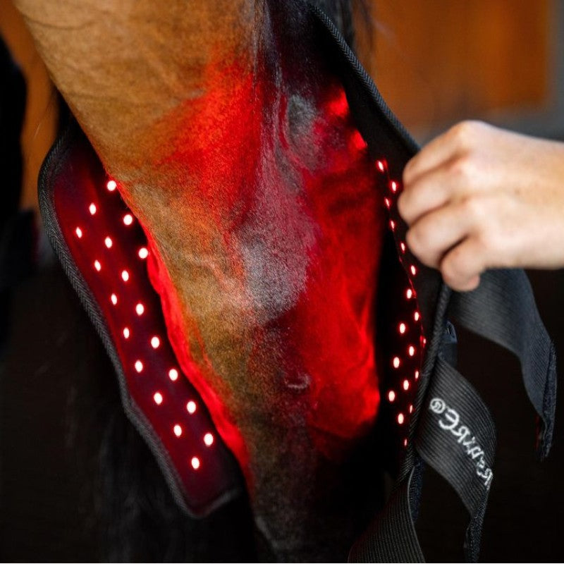 Horseware - Protège-jarret thérapeutique lumière rouge LED (x1)