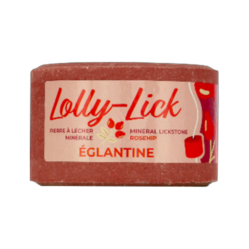 Hippotonic - Pierre à sel Lolly-Lick églantine 700g