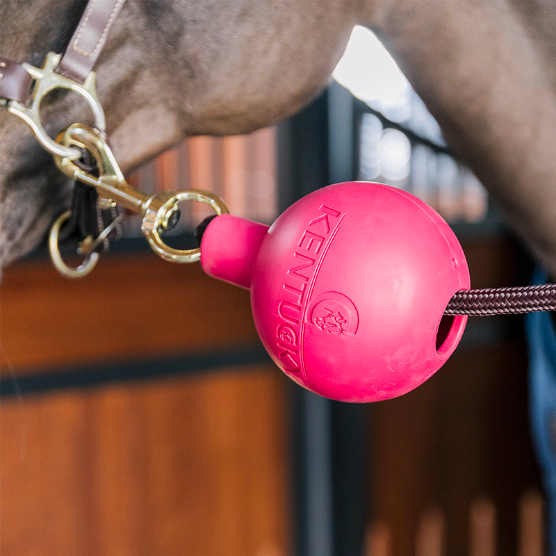 Kentucky Horsewear - Balle de protection d'attache rose | - Ohlala