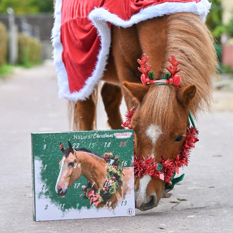 Natural' Innov - Calendrier de l'avent Natural’Christmas Gourmet 2024