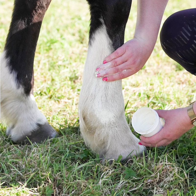 Natural' Innov - Crème solaire pour chevaux Natural'Sun