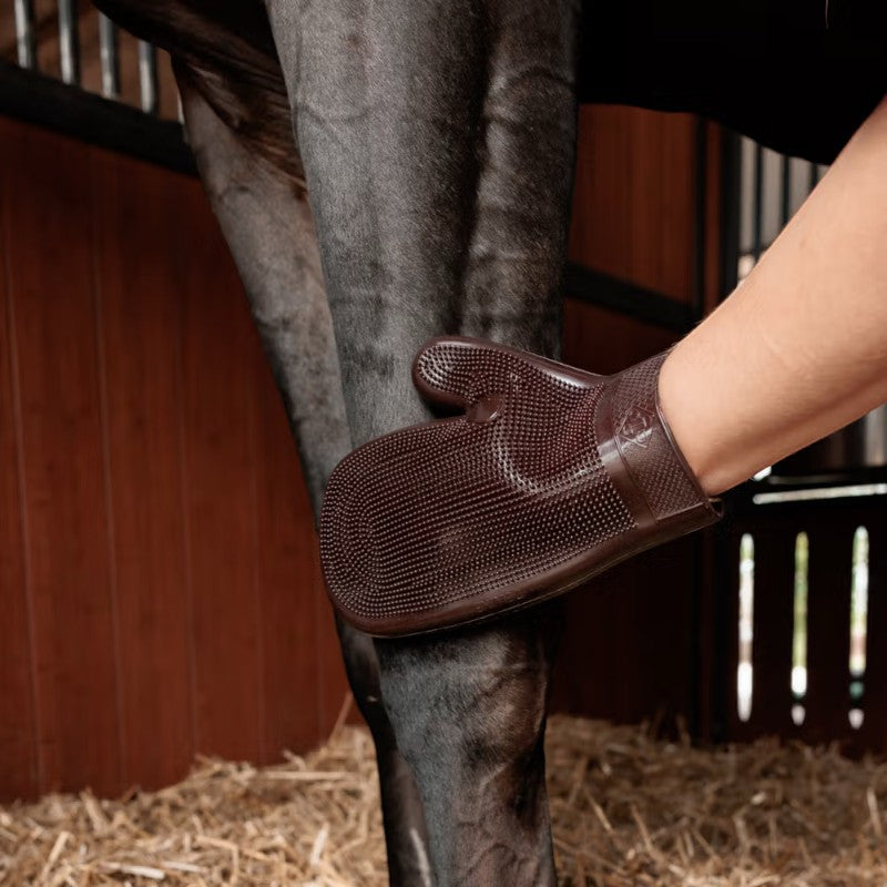 Grooming Deluxe - Gant de Grooming en caoutchouc brun