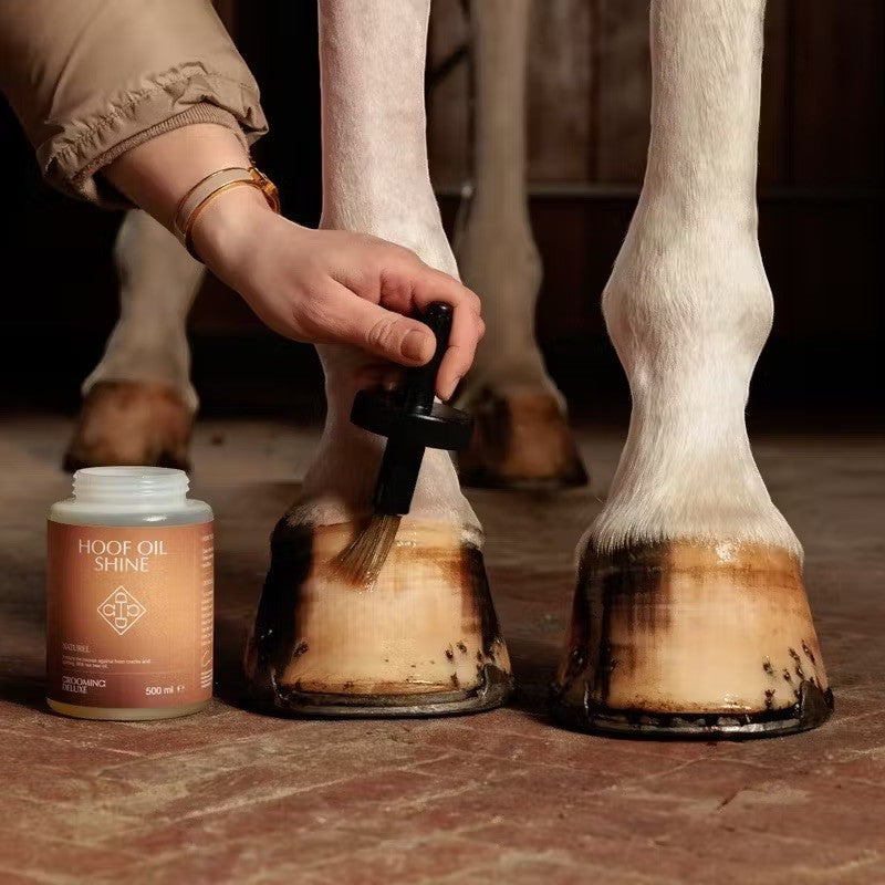 Grooming Deluxe - Huile de brillance pour sabots naturel