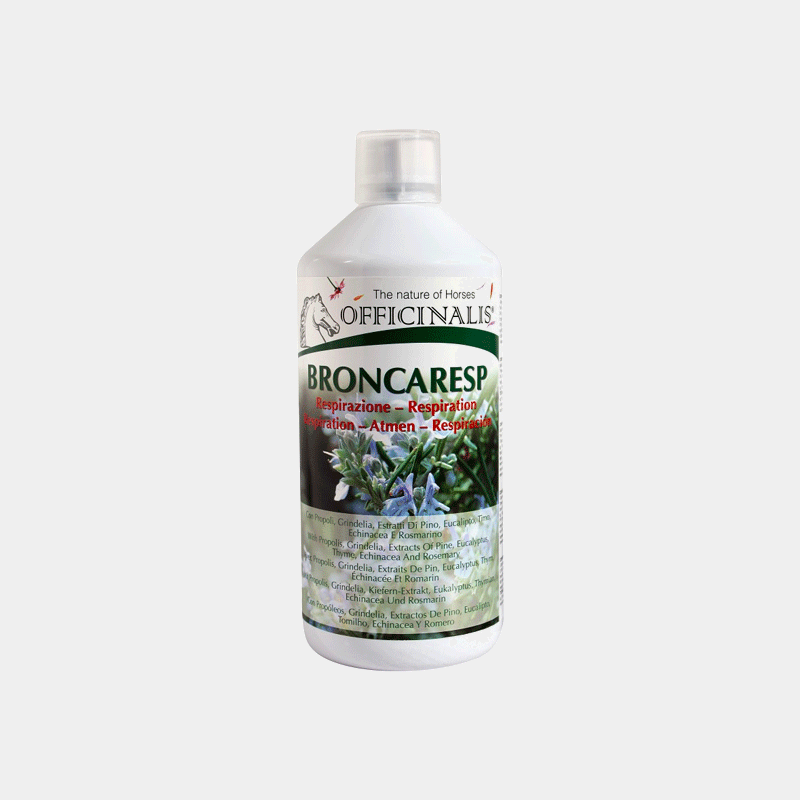 Officinalis - Broncaresp eucalyptus | - Ohlala