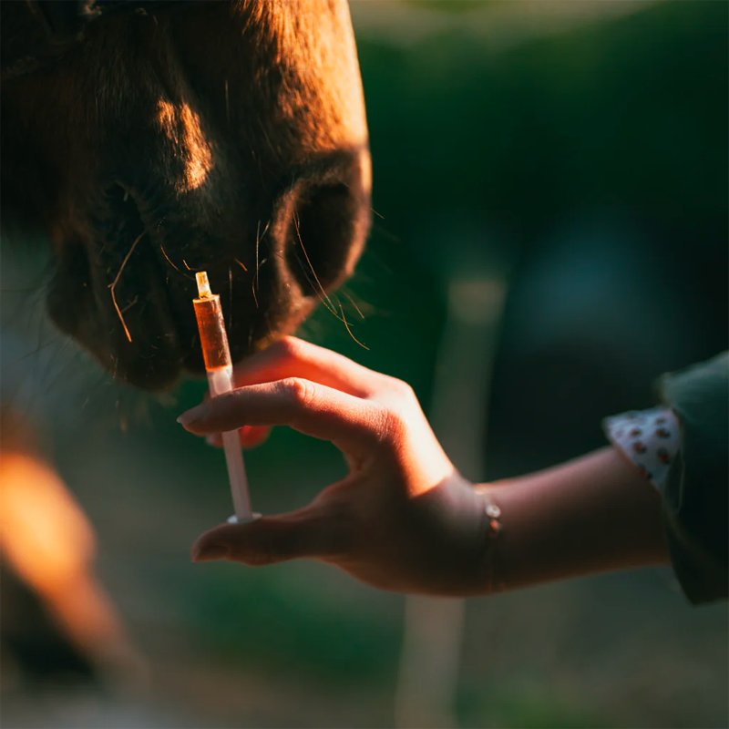 Cura Naturale - Complément alimentaire pour chevaux drainant pour le foie