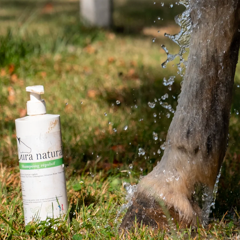 Cura Naturale - Shampoing pour chevaux répulsif à insectes