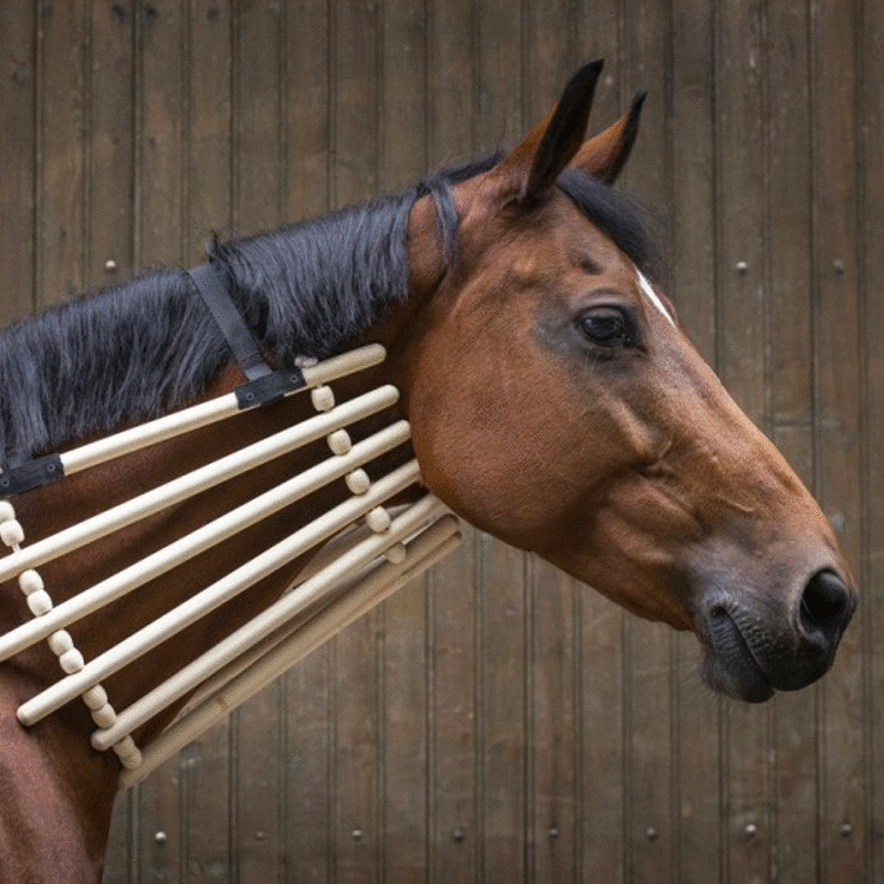 Hippotonic - Collier de bois