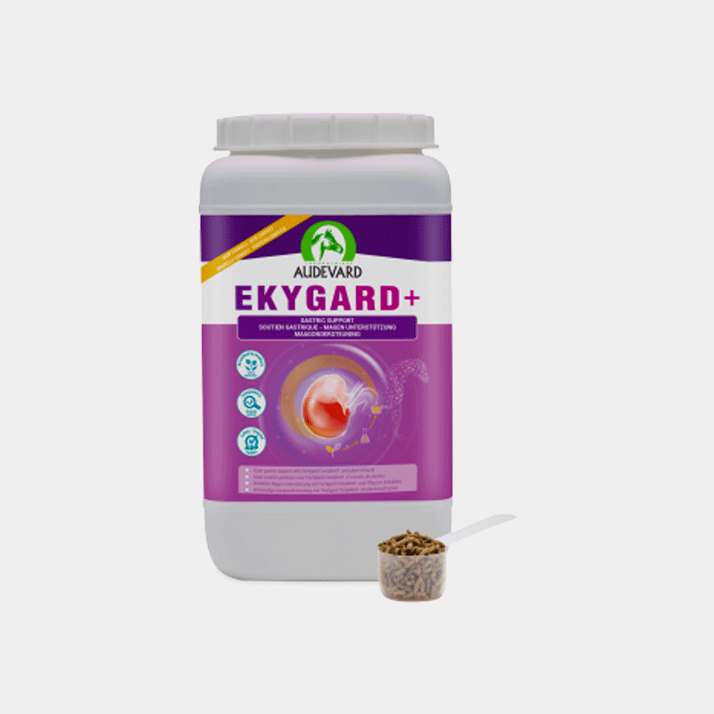 Audevard - Complément alimentaire granule protection gastrique Ekygard+