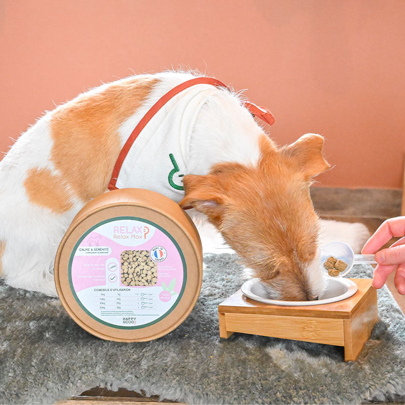 Happy Scoop - Complément alimentaire croquettes calme et sérénité Relax pour chiens
