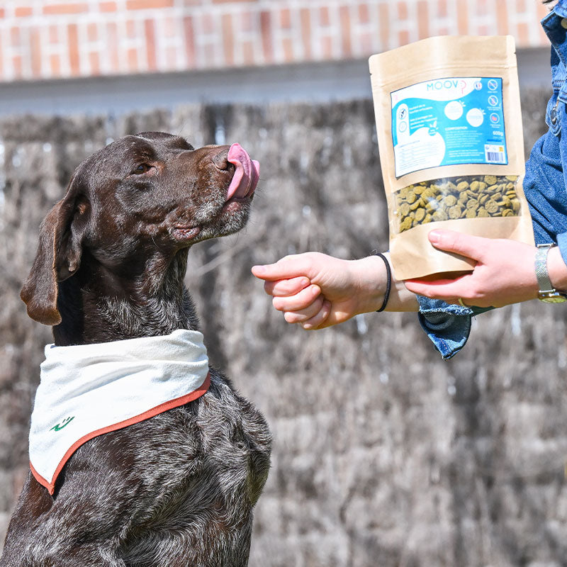 Happy Scoop - Complément alimentaire croquettes confort locomotteur Moov pour chiens