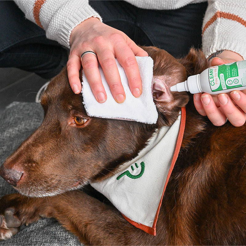 Happy Scoop - Lotion nettoyante oreilles Cleany pour chiens