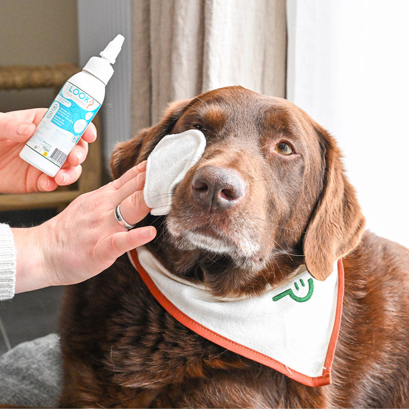 Happy Scoop - Lotion nettoyante yeux Look pour chiens