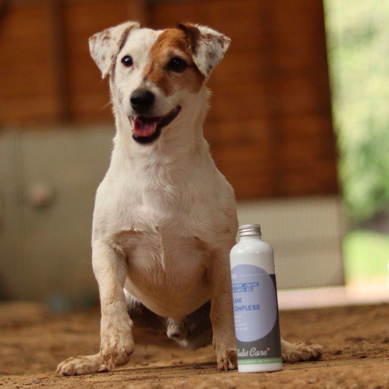 Alodis Care - Complément alimentaire liquide Cani Complexe pour chien