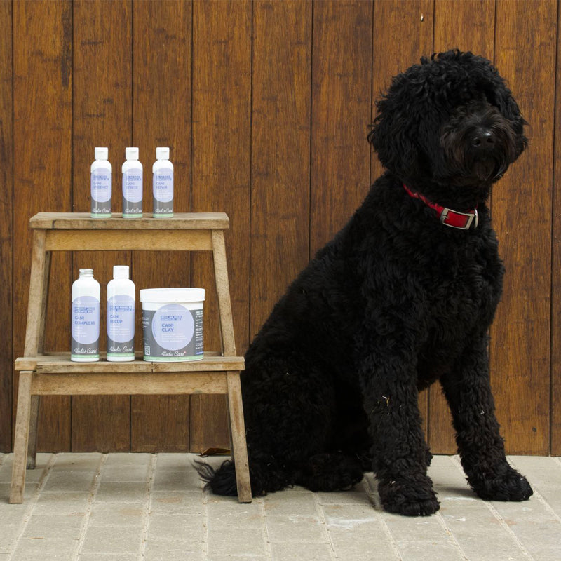 Alodis Care - Complément alimentaire liquide Cani Complexe pour chien