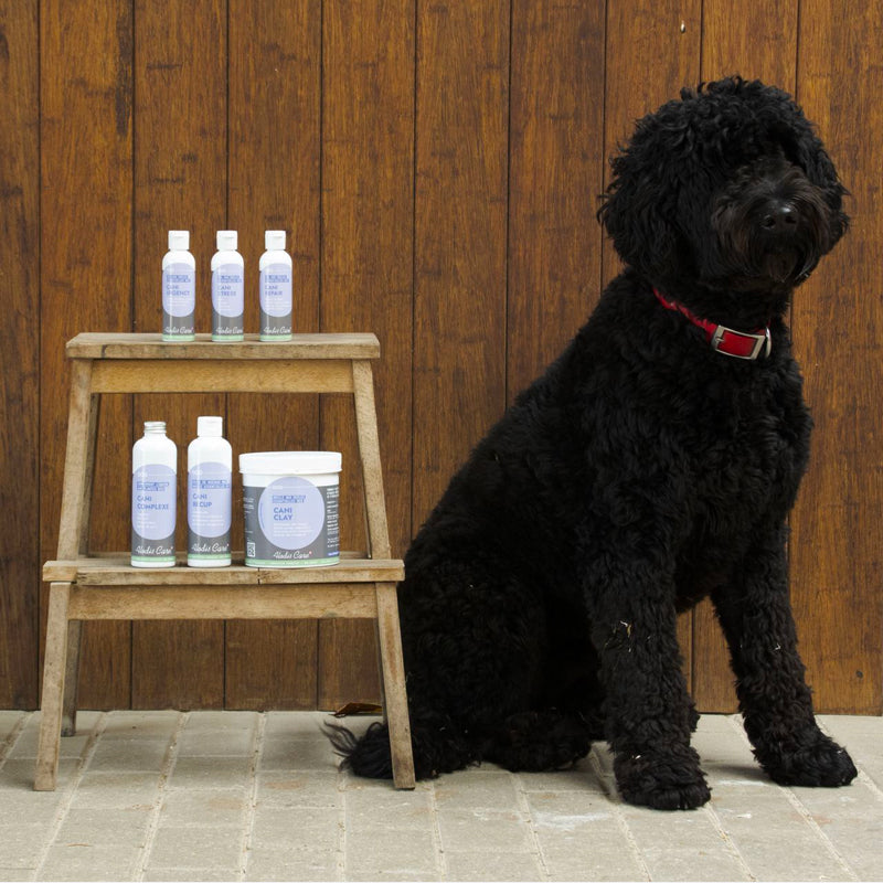 Alodis Care - Huile de massage pour chien Cani Recup