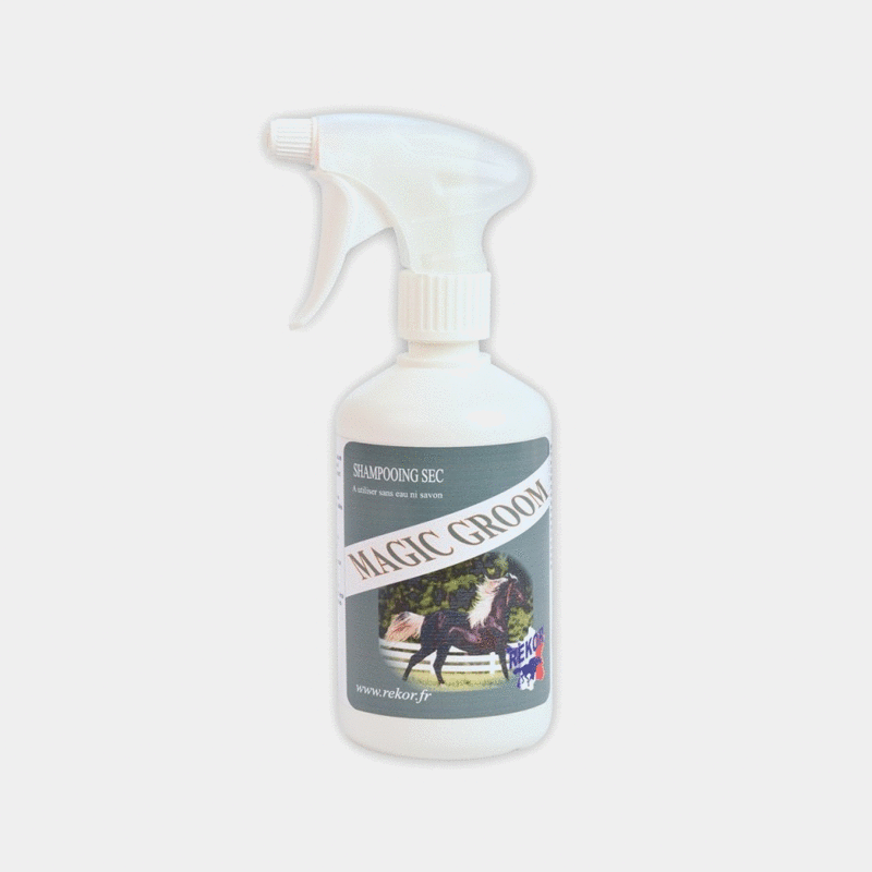 Rekor - Shampoing sec Magic groom | - Ohlala