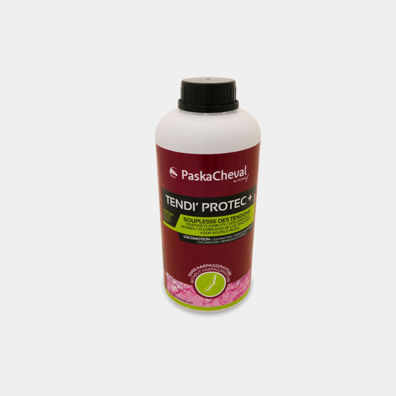 Paskacheval - Complément alimentaire soutien des tendons Tendiprotec +